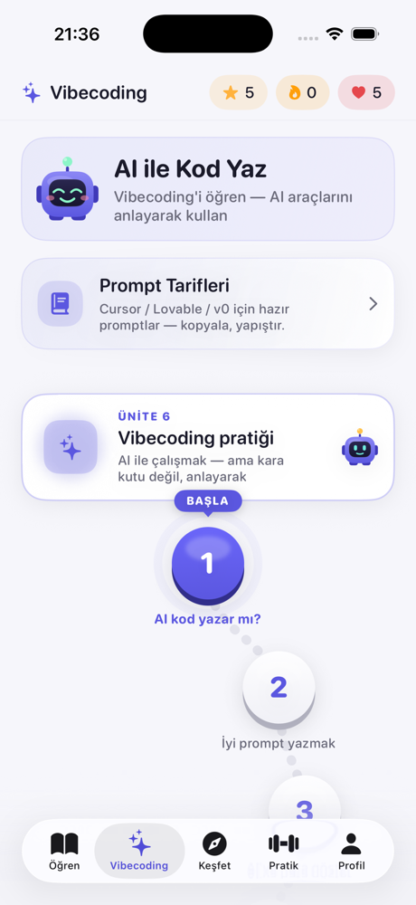 Bitlik Vibecoding patikası